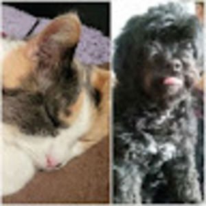 Meet your Posher, Tracey